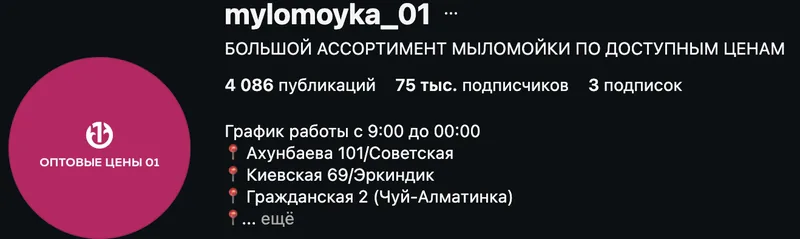 Instagram-профиль mylomoyka_01