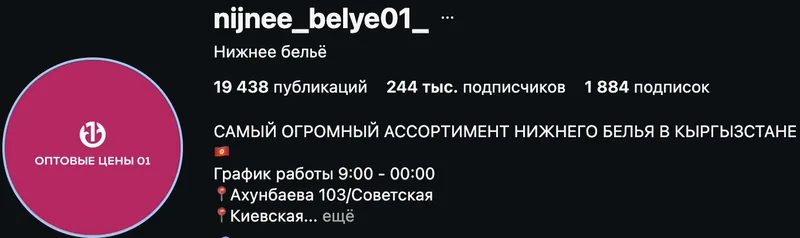 Instagram-профиль nijnee_belye01_